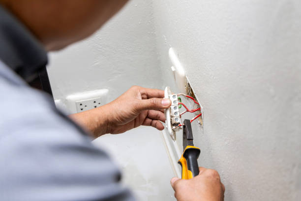 Best Generator Installation Services  in Ecorse, MI